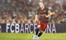 开云体育官网-当凯尔特人绿遇见上海红，武切维奇的东方杀伤学