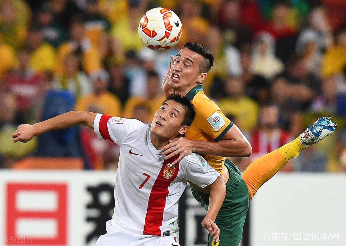 关于英格兰队碾压波兰队，张继科统治全场的信息